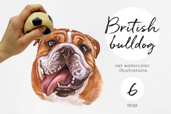 British Bulldog. Watercolor 6 Dog: A Practical Review of a Versatile Illustration Set