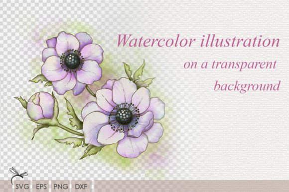 Floral Watercolor Illustration Anemones for Creative Design