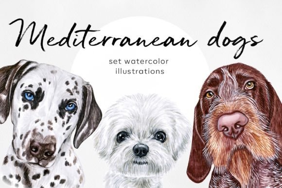 Watercolor 10 Mediterranean Dogs Breeds: A Creative Asset Guide